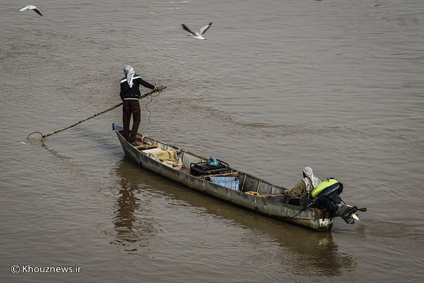 تصاویر / صید غیرمجاز ماهی با برق در رودخانه کارون