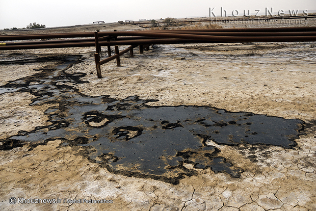 تصاویر / نشت نفت در منطقه کریت کمپ، بخش غیزانیه اهواز
