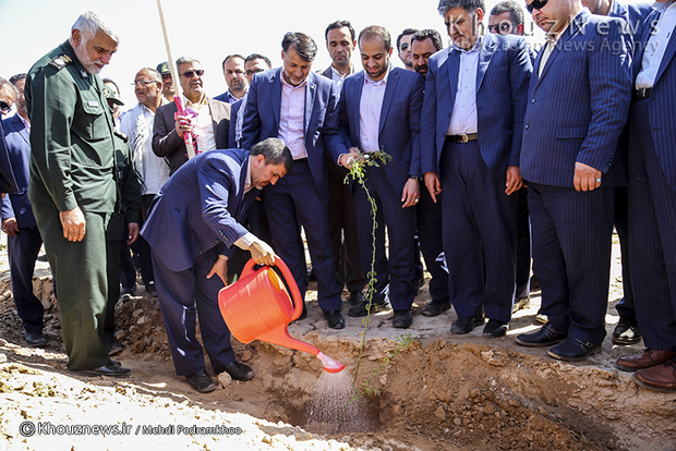 تصاویر /احداث 1800 هکتار نهال کاری توسط بانک مهر اقتصاد خوزستان