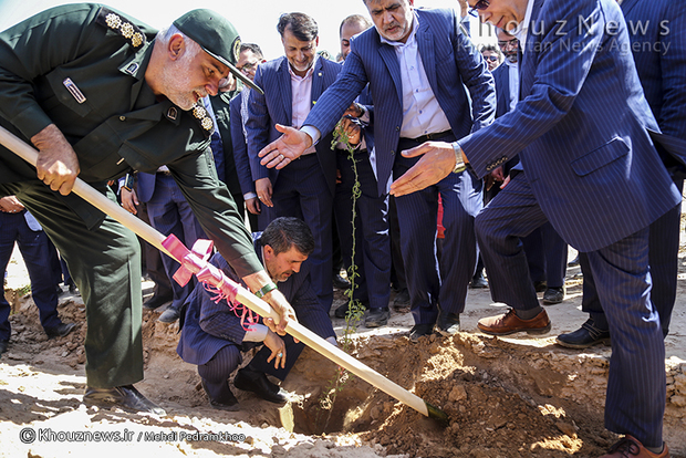 تصاویر /احداث 1800 هکتار نهال کاری توسط بانک مهر اقتصاد خوزستان