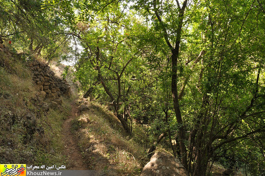 تصاویر/ برداشت انار در روستای گردشگری نورآباد دزفول