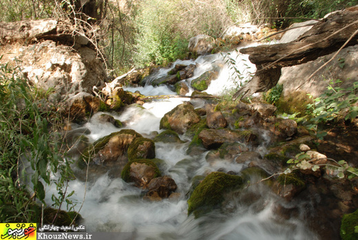 تصاویر/ طبیعت زیبای منطقه میر احمد غریبی ها از توابع بخش دهدز شهرستان ایذه در خوزستان