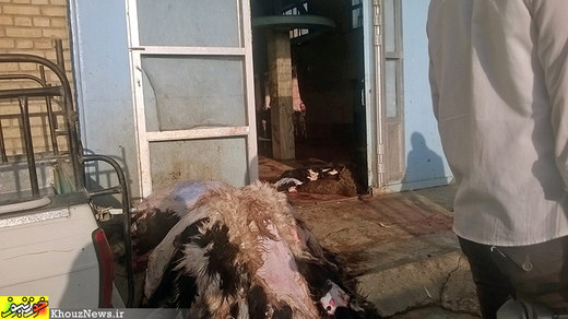تصاویر/ وضعیت نامناسب کشتارگاه شهر ایذه