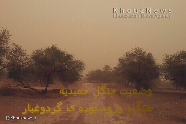 تصاویر/ گرد و غبار این روزهای خوزستان به روایت کاربران