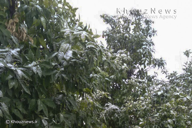 تصاویر/ کاربران/ بارش برف در ایذه و باغملک خوزستان