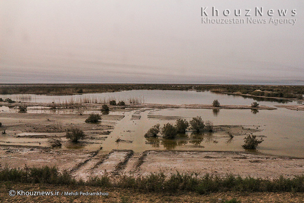 بزرگترین امید مردم خوزستان در مقابله با ریزگردها در یک قدمی نابودی قرار گرفت